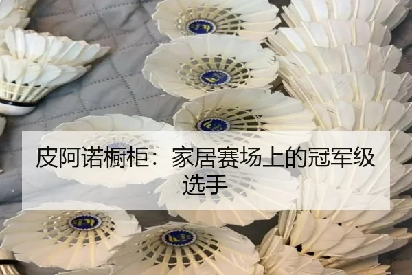皮阿诺橱柜：家居赛场上的冠军级选手